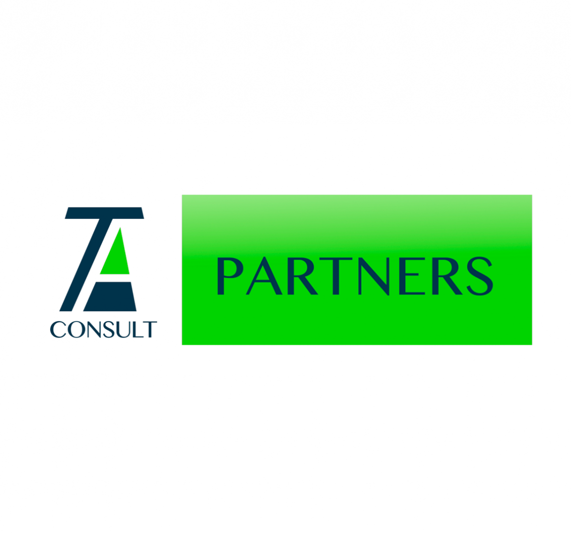 Рекомендательное письмо TA Consult Partners